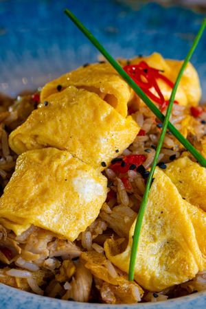 Close-up of flavorful Asian omelette fried rice with vibrant garnishes.